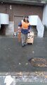 WhatsApp Image 2019-11-03 at 12.37.34