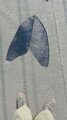 IMG-20230427-WA0002