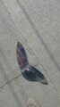 IMG-20230427-WA0004
