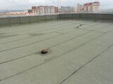 DSCN7165