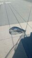 IMG-20230427-WA0006